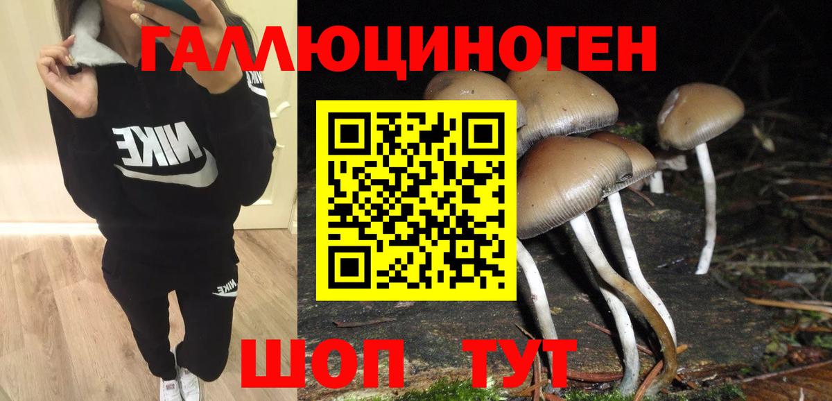 Псилоцибиновые грибы прущие грибы  Вход с VPN  как найти наркотики  Гулькевичи 